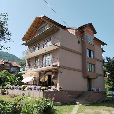 Guest House Dimitrije نيسكا بانجا المظهر الخارجي الصورة