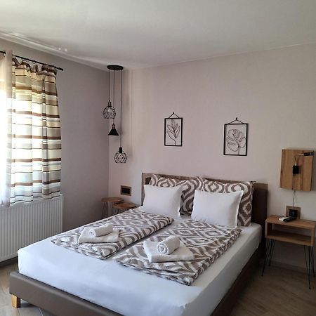 Guest House Dimitrije نيسكا بانجا المظهر الخارجي الصورة