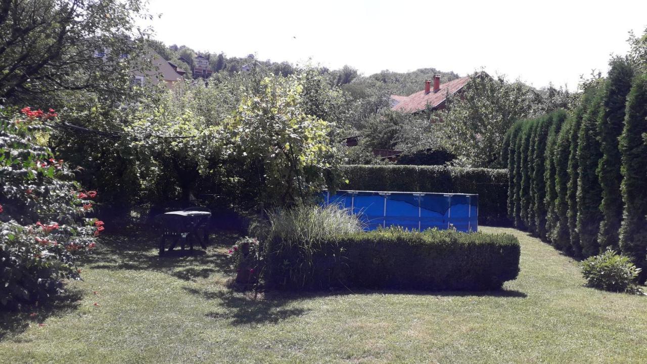 Guest House Dimitrije نيسكا بانجا المظهر الخارجي الصورة