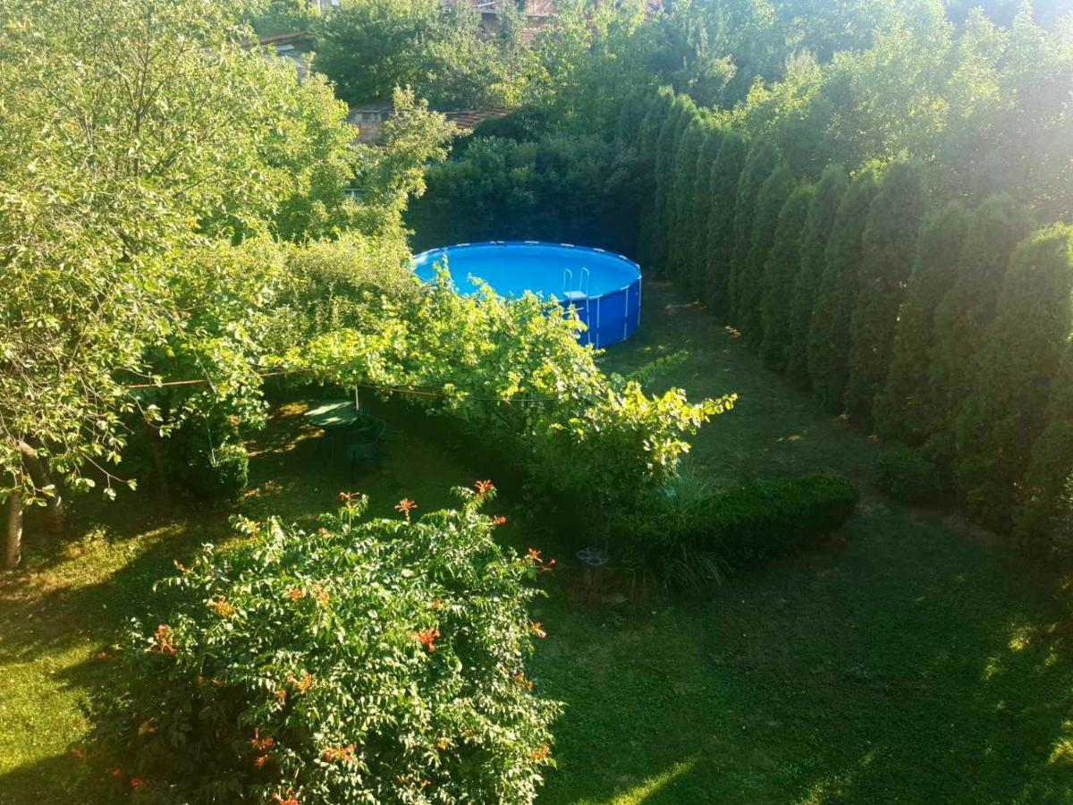 Guest House Dimitrije نيسكا بانجا المظهر الخارجي الصورة