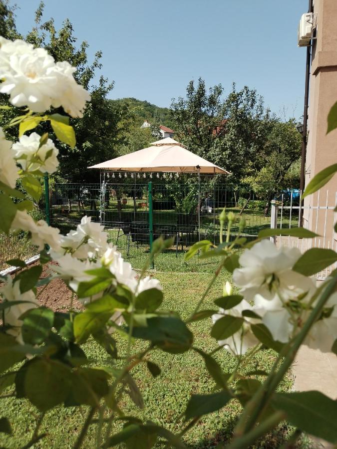 Guest House Dimitrije نيسكا بانجا المظهر الخارجي الصورة