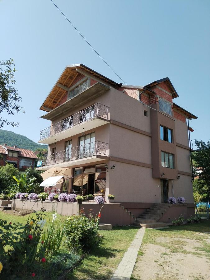 Guest House Dimitrije نيسكا بانجا المظهر الخارجي الصورة