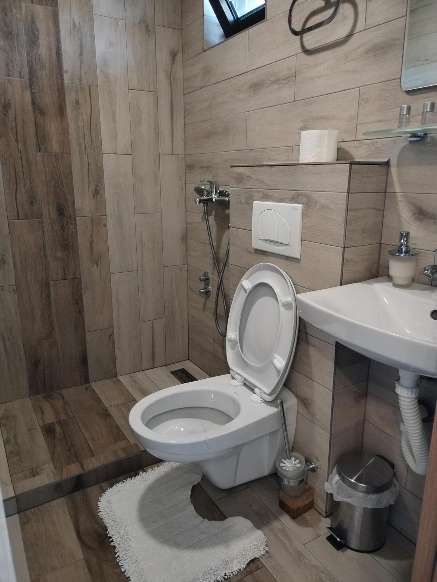 Guest House Dimitrije نيسكا بانجا المظهر الخارجي الصورة