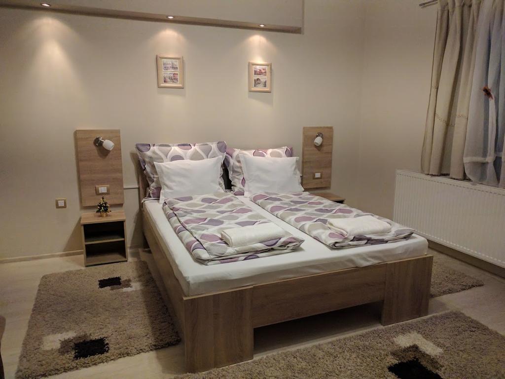 Guest House Dimitrije نيسكا بانجا المظهر الخارجي الصورة