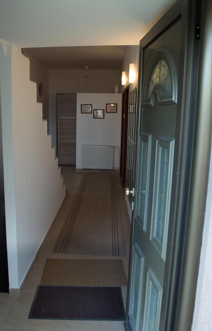 Guest House Dimitrije نيسكا بانجا المظهر الخارجي الصورة