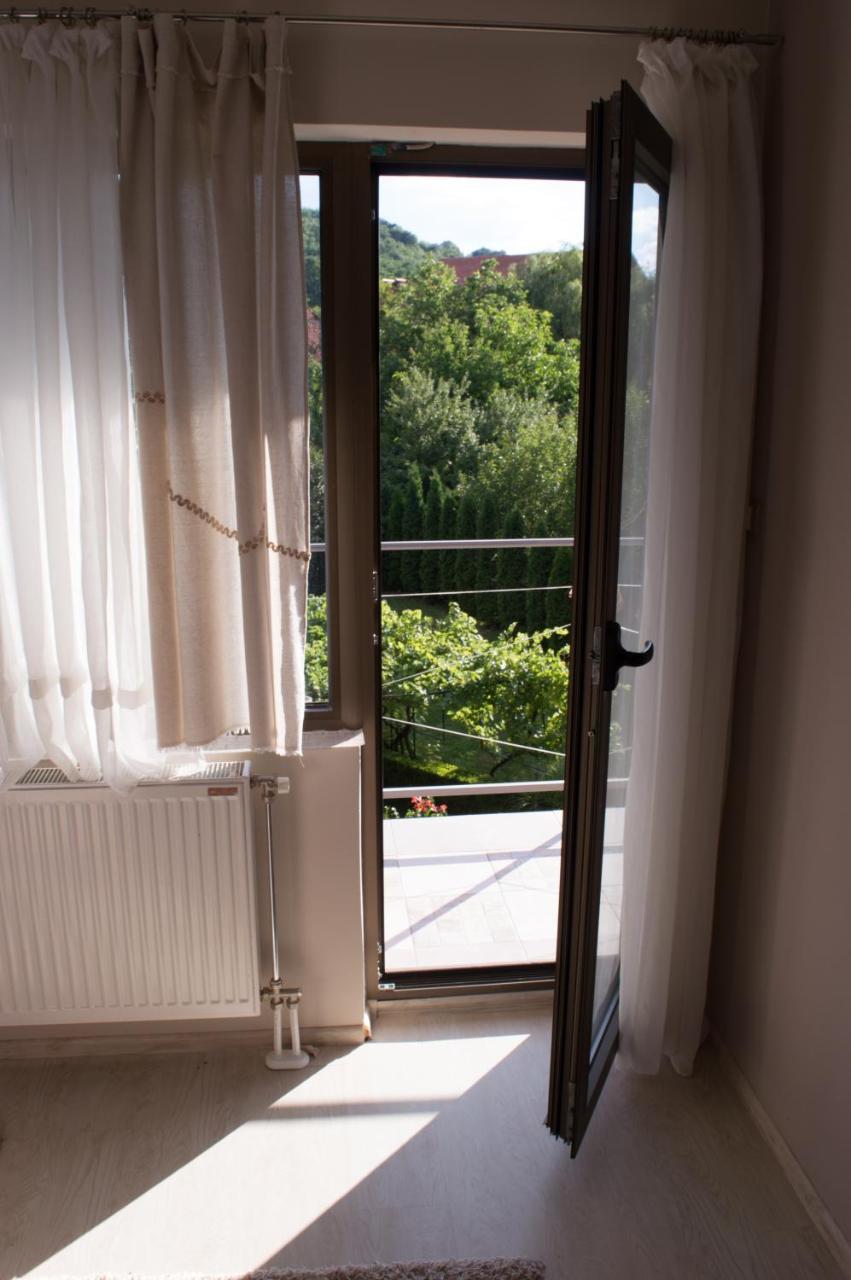 Guest House Dimitrije نيسكا بانجا المظهر الخارجي الصورة